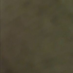 Meet your Posher, Sandy